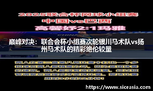 巅峰对决：联合会杯小组赛次轮银川马术队vs扬州马术队的精彩绝伦较量